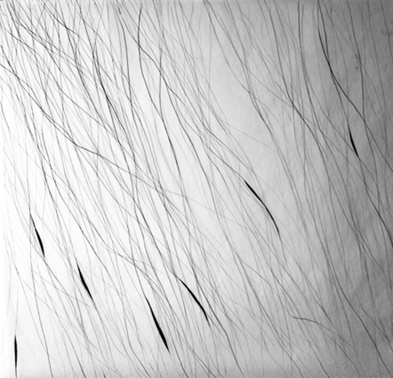 air_noir_2010_retouchee_nb.72dpi