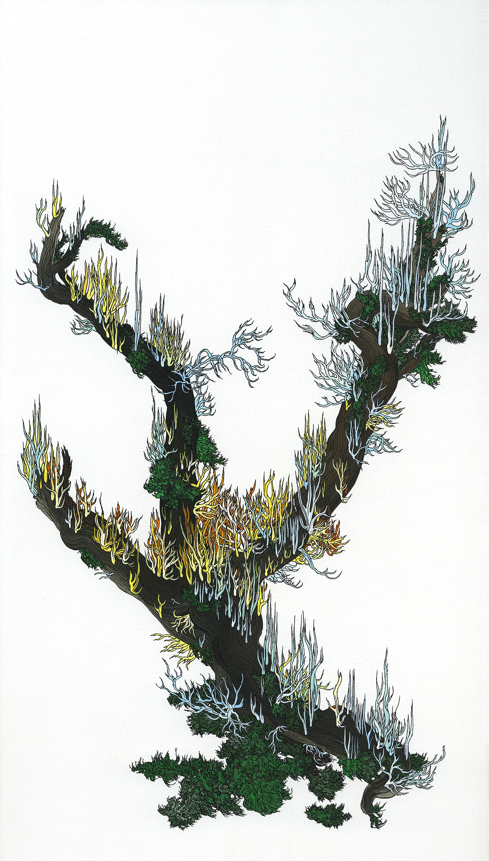 25x44cm_lichens