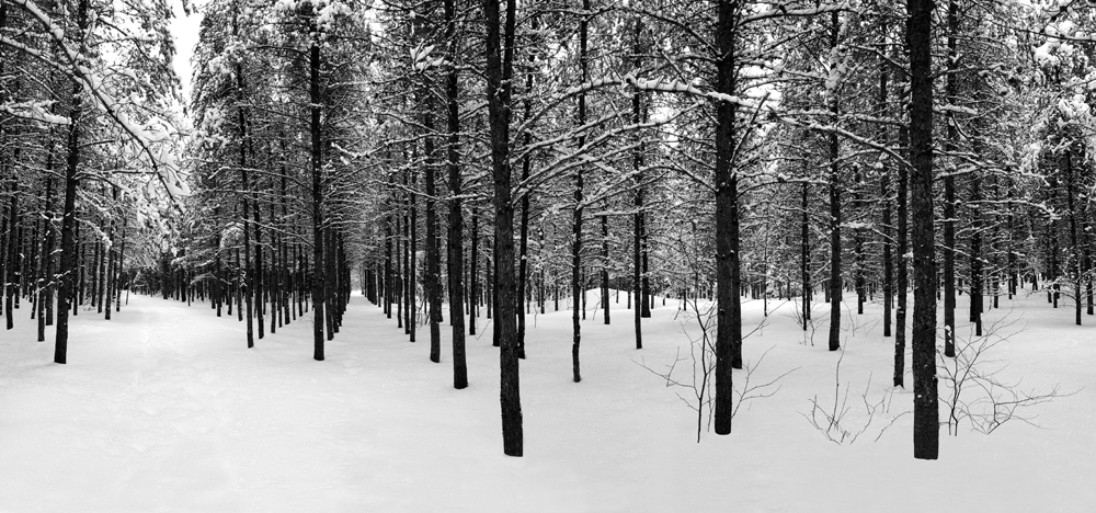 panoramique-horizontal-i