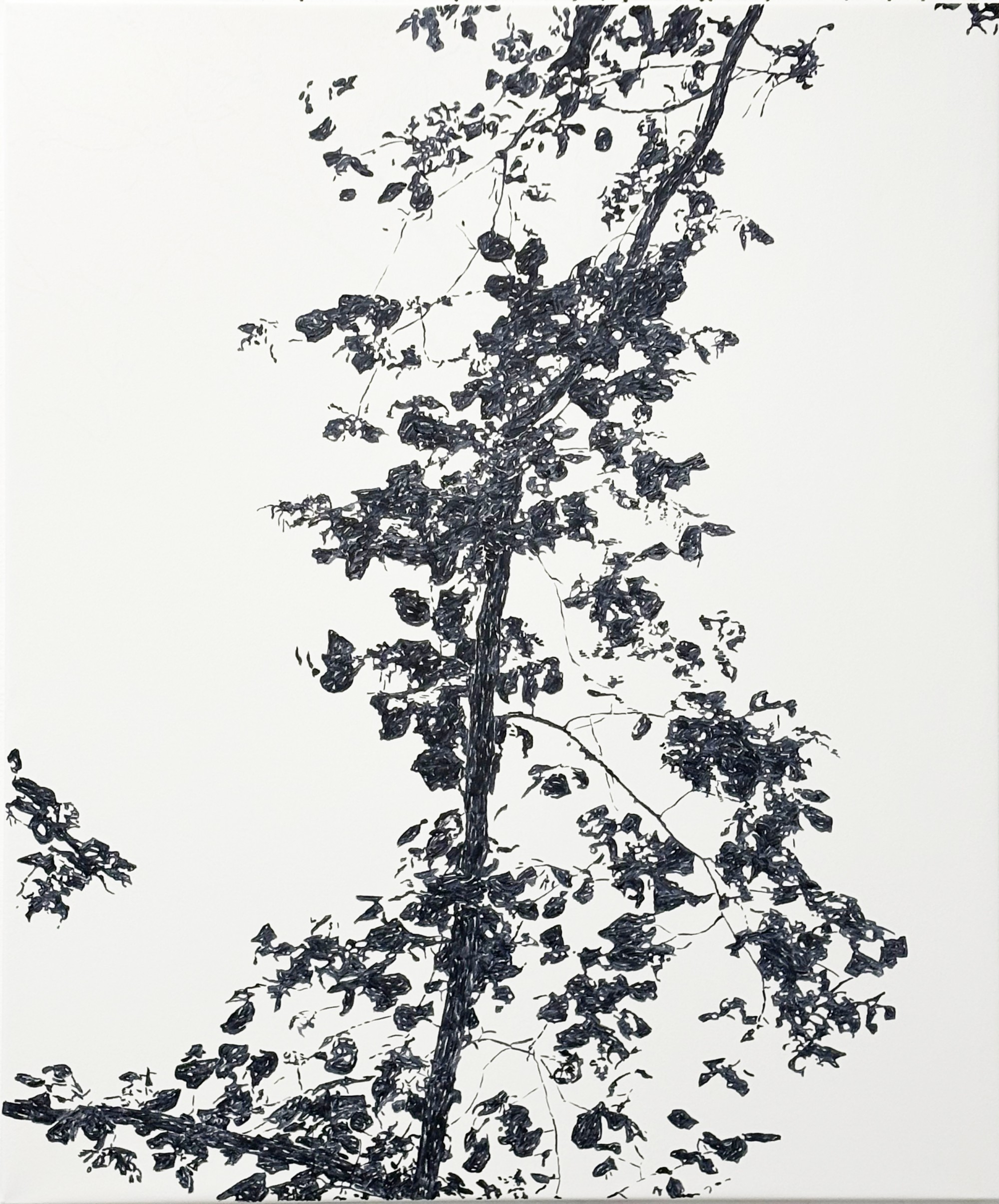 sans-titre-2025-huile-sur-toile-120x100-cm
