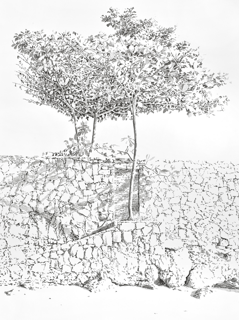 cajueros-2021-encre-sur-papier-132x97cm-72dpi