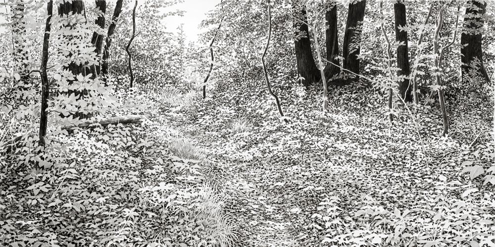 lisiere-2020-encre-sur-papier-90x180cm